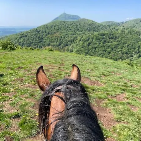 Le Bosquet Des Domes - Panorama Des Puys A Cheval