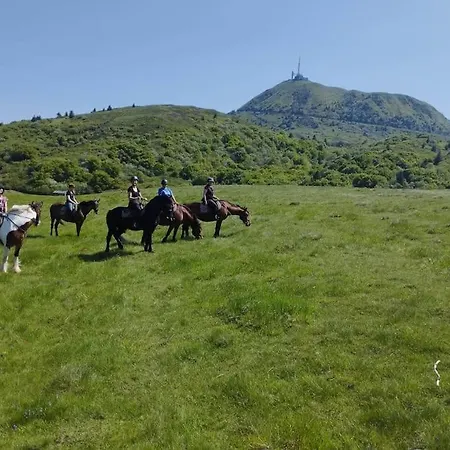 Holiday home Le Bosquet Des Domes - Panorama Des Puys A Cheval