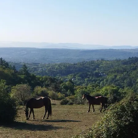 Le Bosquet Des Domes - Panorama Des Puys A Cheval Holiday home *