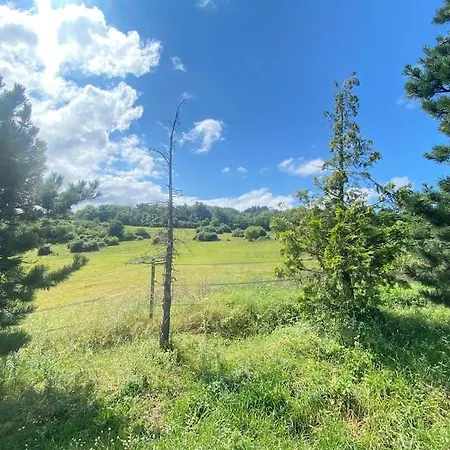 Holiday home Le Bosquet Des Domes - Panorama Des Puys A Cheval Chatel-Guyon
