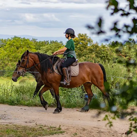 Holiday home Le Bosquet Des Domes - Panorama Des Puys A Cheval