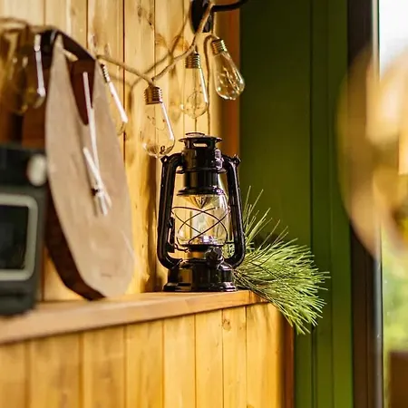 Le Bosquet Des Domes - Panorama Des Puys A Cheval *