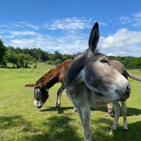 Le Bosquet Des Domes - Panorama Des Puys A Cheval