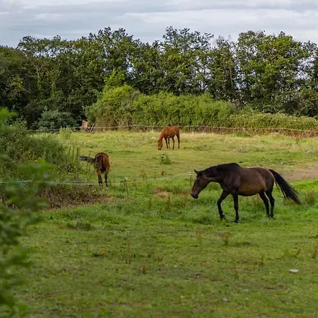 Ferienhaus Le Bosquet Des Domes - Panorama Des Puys A Cheval Châtel-Guyon
