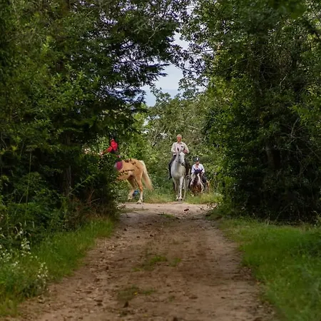 Le Bosquet Des Domes - Panorama Des Puys A Cheval