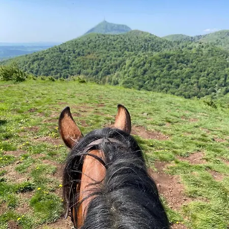 Le Bosquet Des Domes - Panorama Des Puys A Cheval Ferienhaus Châtel-Guyon