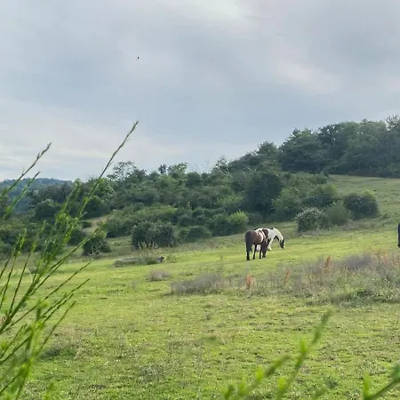 Le Bosquet Des Domes - Panorama Des Puys A Cheval Ferienhaus