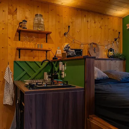 Le Bosquet Des Domes - Panorama Des Puys A Cheval